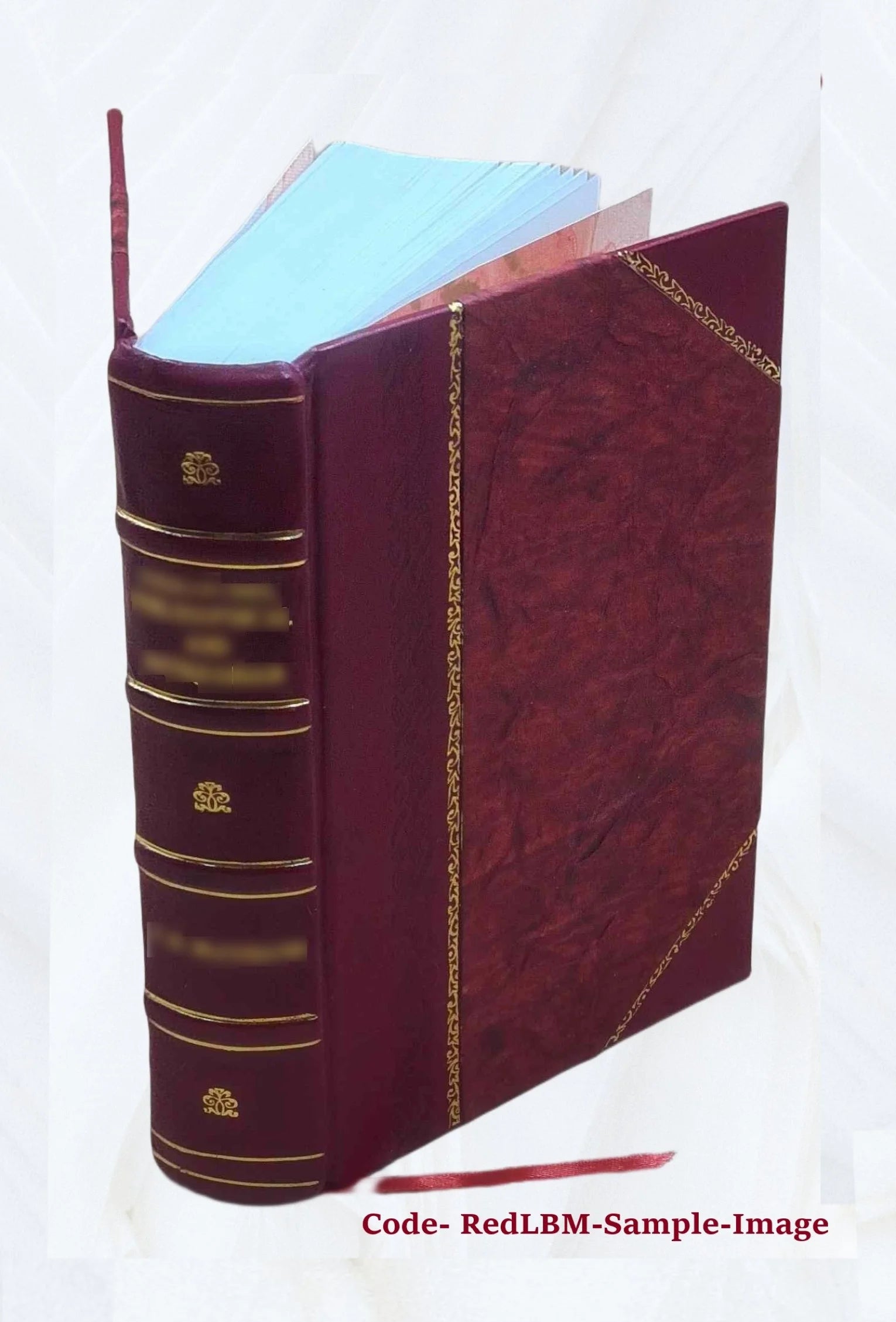 Leather Bound Book F18104
