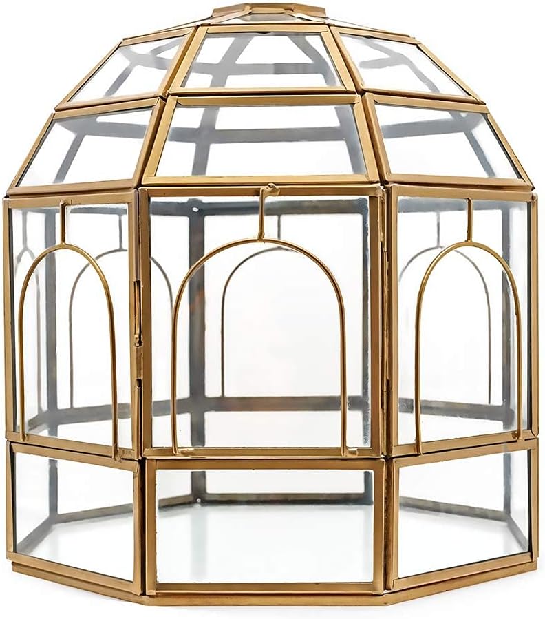 Large Glass Terrarium Pack of 2 Z516321