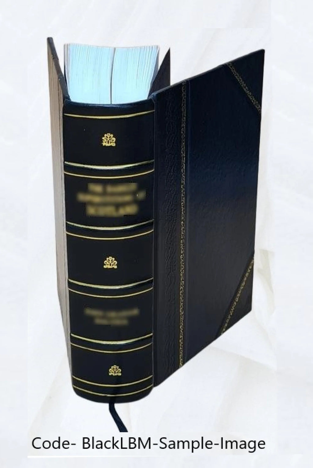 Leather Bound Book F18104
