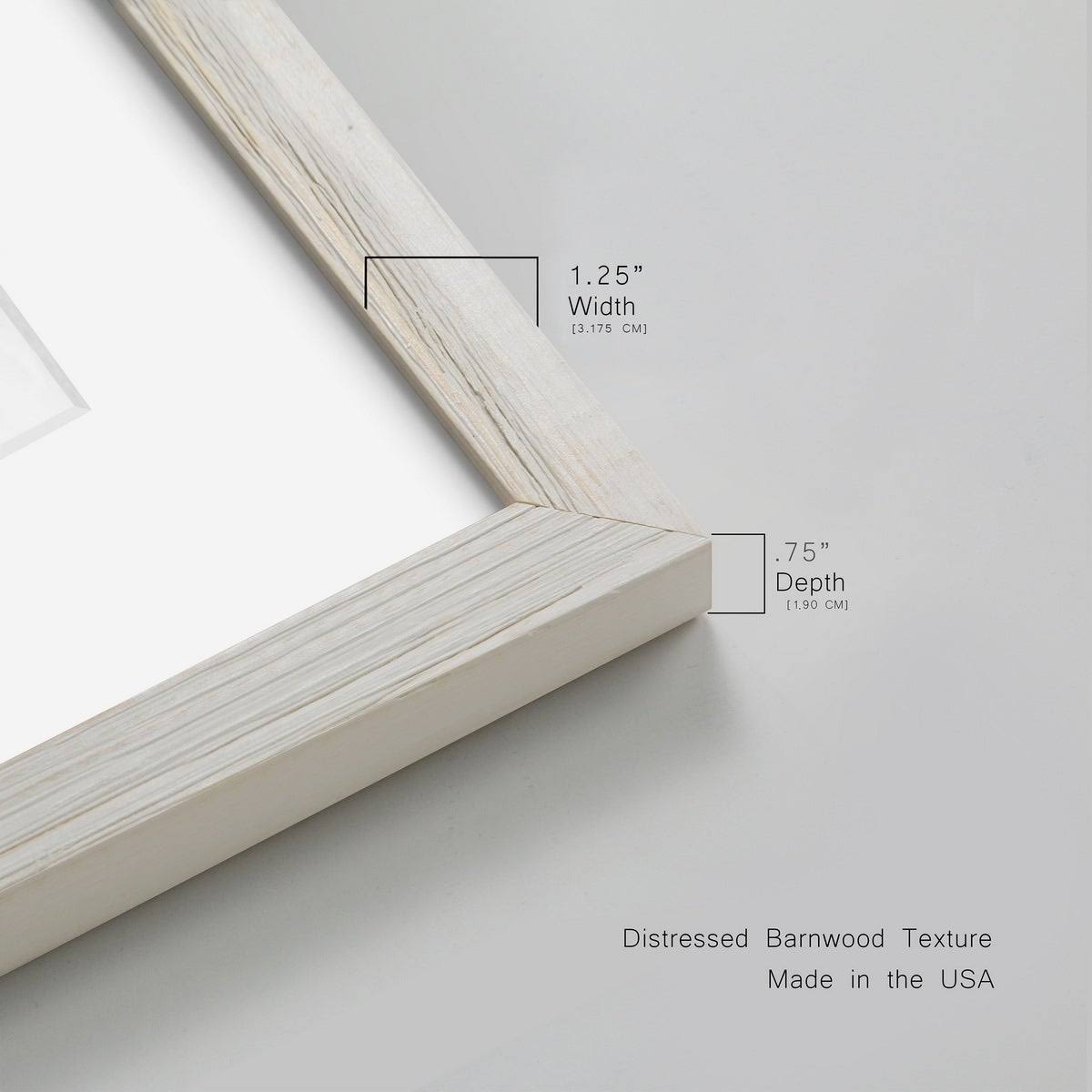 Premium Framed Canvas Q239