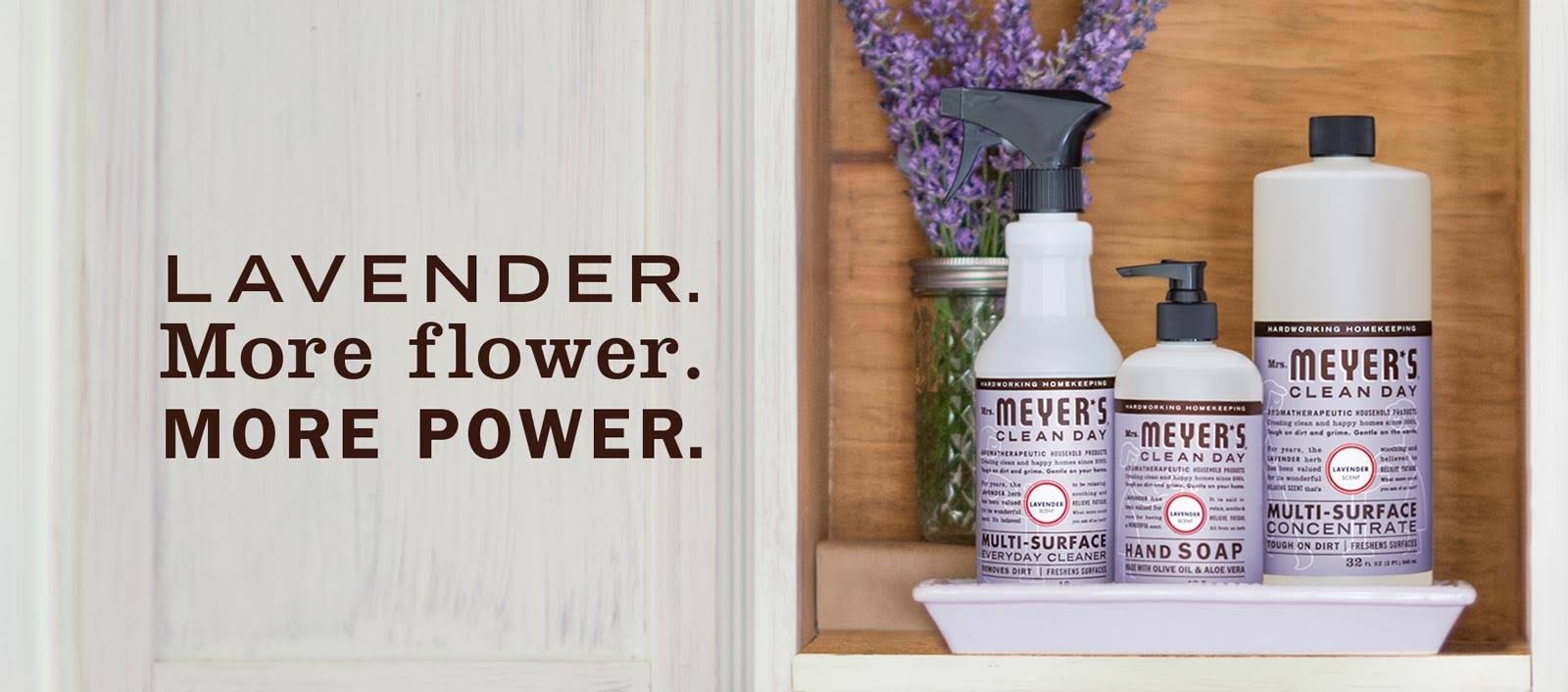 Liquid Laundry Detergent, Lavender Scent, 64 oz Bottle, 6/Carton W3541