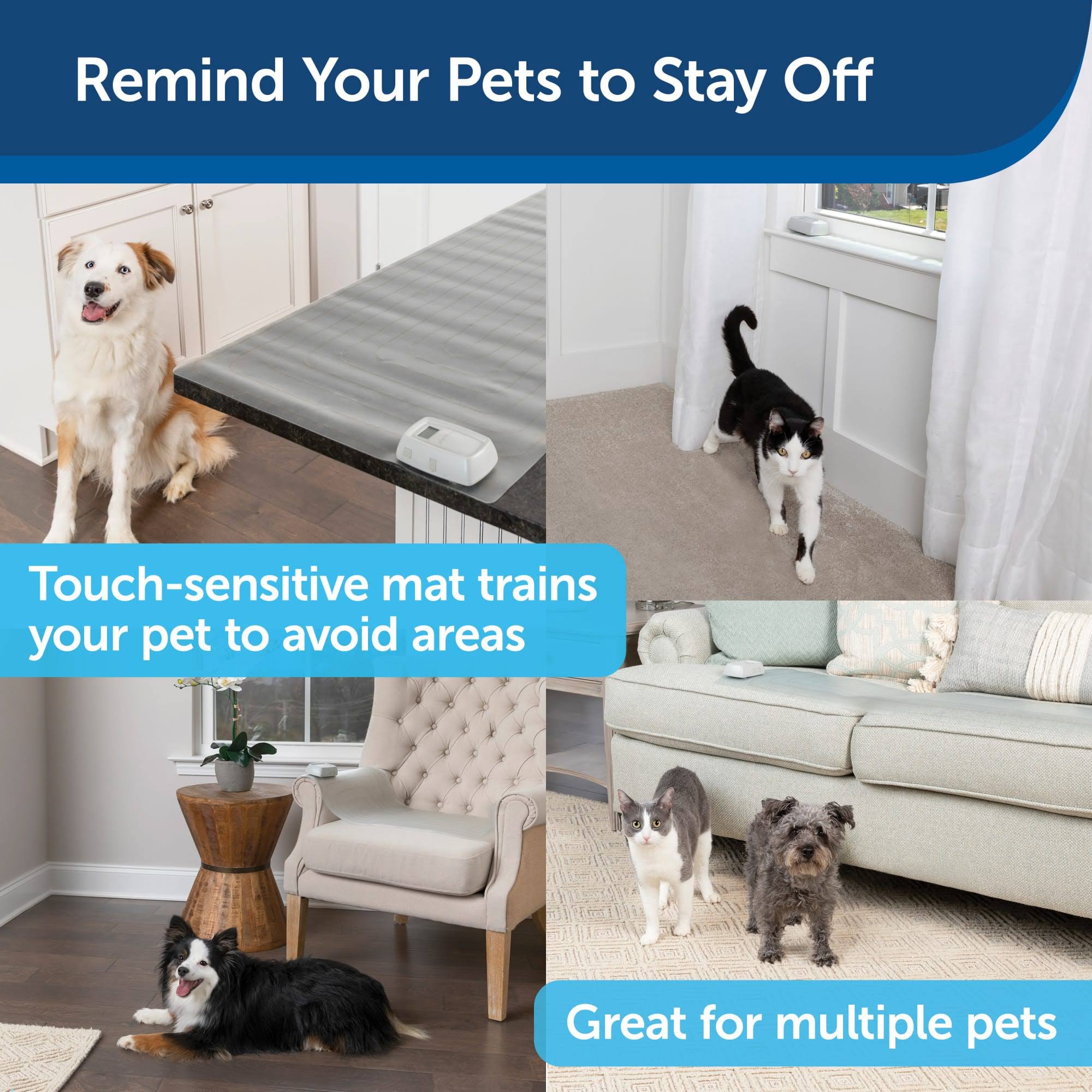 Sofa Training Mat, 12 x 60 Inches V4581