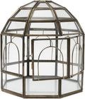 Large Glass Terrarium Pack of 2 Z516321