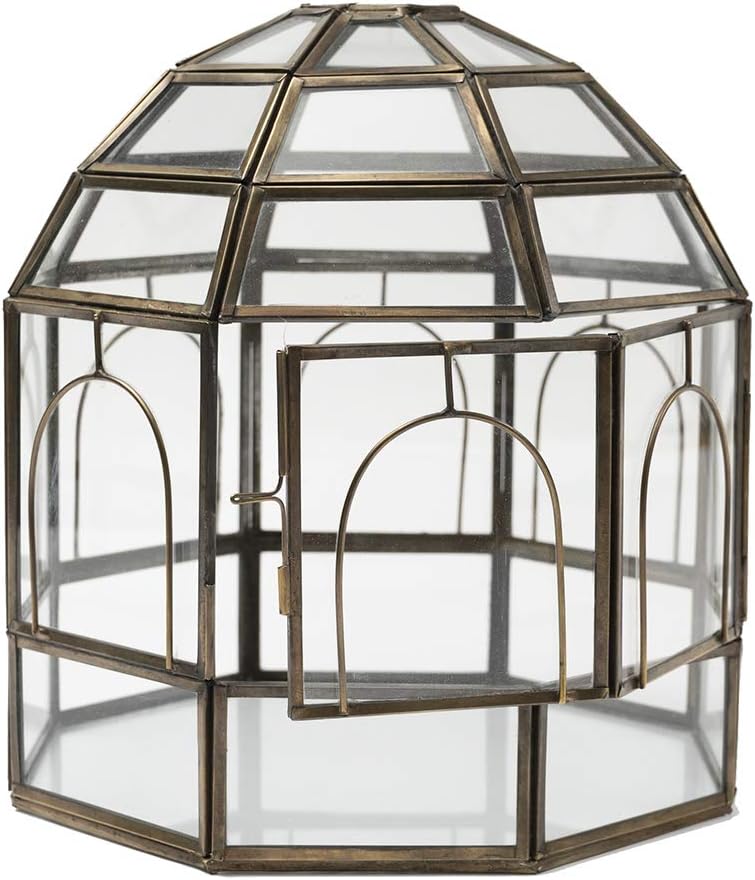 Large Glass Terrarium Pack of 2 Z516321