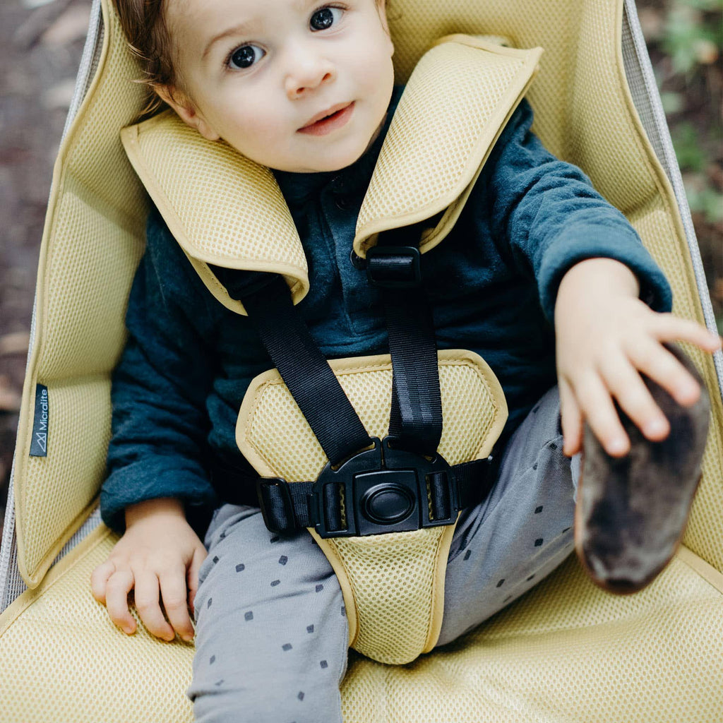 FastFold Festival Stroller A1723