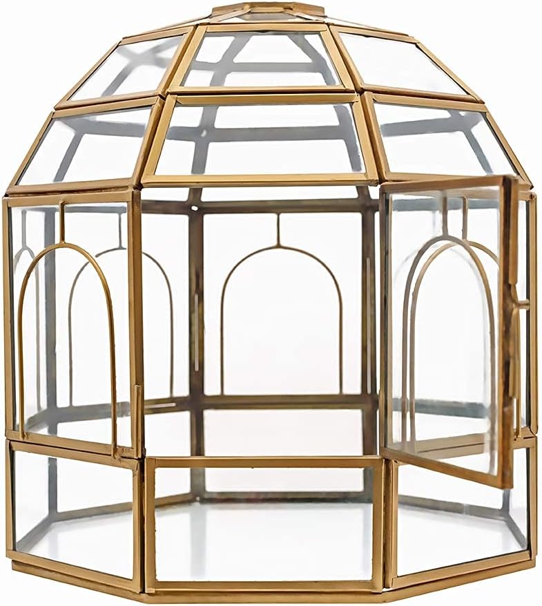 Large Glass Terrarium Pack of 2 Z516321