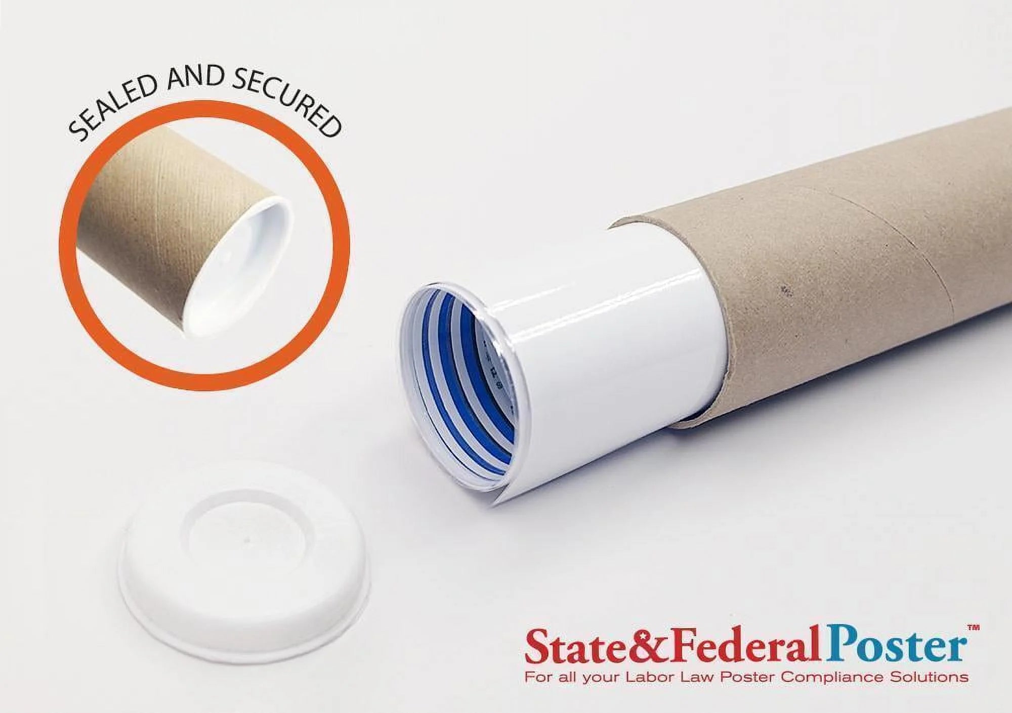Connecticut State and Federal Labor Law Poster W247