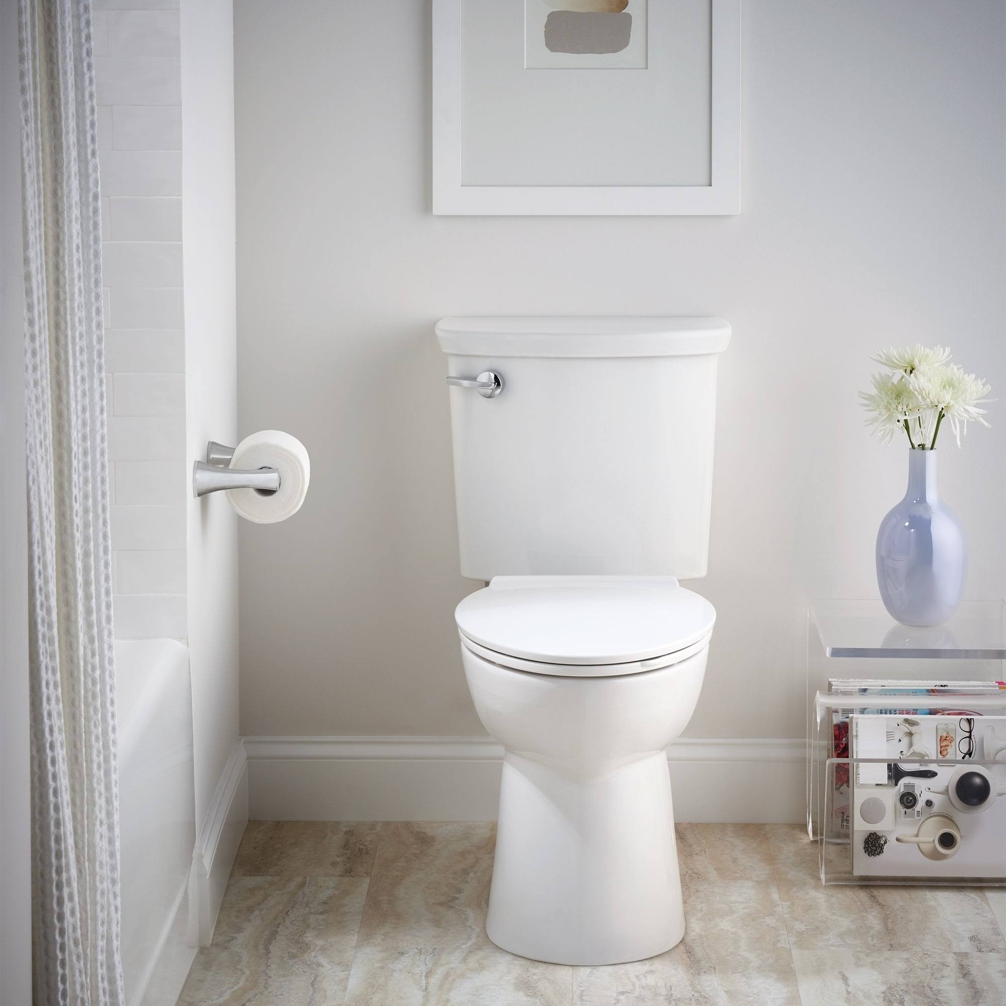 White Elongated Two Piece Toilet V4484