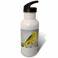 21 oz Sports Water Bottle O70362