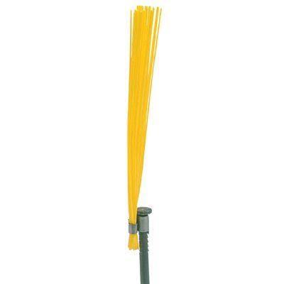 Green Whiskers Y2085