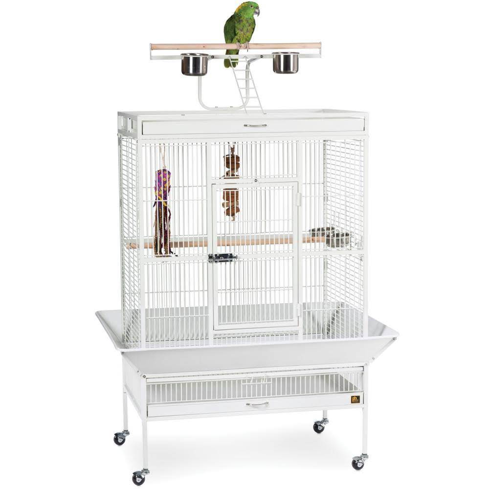 Pewter Wrought Iron Parrot Bird Cage G520286