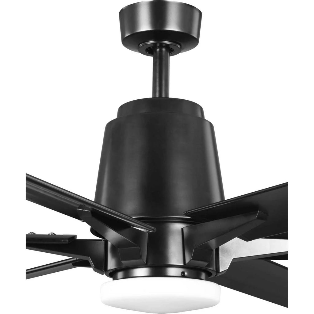 Black Ceiling Fan Z656