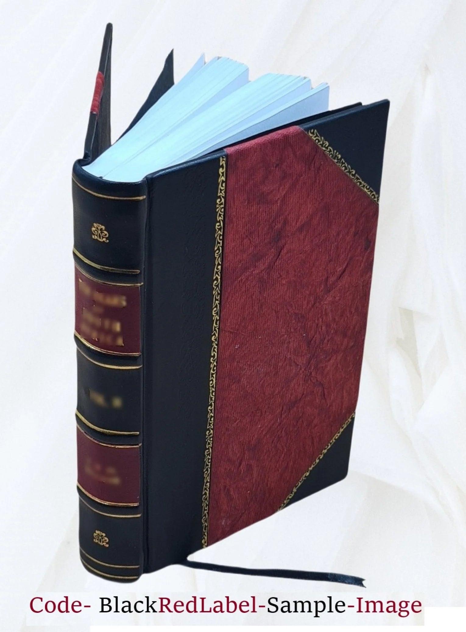 Leather Bound Book O372
