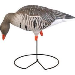 Full-Body Specklebelly Decoy Pack X155199